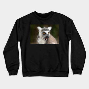 What The?? Ring-Tailed Lemur Crewneck Sweatshirt